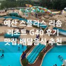 CU(메가플렉스점) | 스플라스 리솜 워터파크 덕산 리조트 G40 숙박 후기
