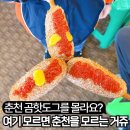 금산-66 | 춘천 박사마을 곰핫도그 맛집 내돈내산 후기 - 메뉴 주차 가격 휴무
