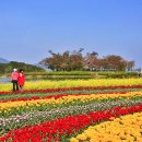 (주)장평 이미지