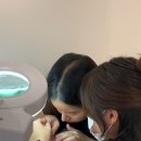 온에스테틱 아카데미 이미지