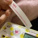 태영펜션 | Be;st