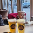 헬로맥주봉화산점 | 단계동맥주 원주술집 헬로맥주 봉화산점 방문후기