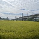 봉양1통 이미지