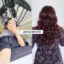 원웨이브 헤어샵 | 분당 미금역 미용실 추천 헤어다이아 히피펌 젤리펌 잘하는 헤어샵