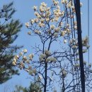 (주)고귀 이미지