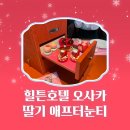 힐튼호텔 오사카 딸기애프터눈티 일본 친구들과 여자회 후기