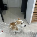 오렌즈 제주서귀포점 이미지