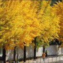 김천컨벤션웨딩뷔페 이미지