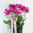 (주)기원농장 이미지