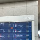 인천공항 국제면허증 발급 / 티웨이 항공 스펠링 실수 &amp; OTS 렌터카 내돈내산 후기
