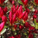 부여고등학교 이미지