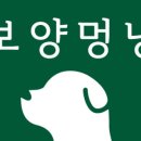 멍냥시대