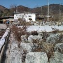 노곡리농장 이미지