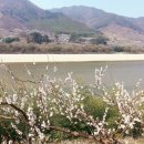 하동 섬진강변길 이미지