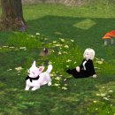 일루와농장 이미지