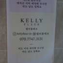 반월당꽃집 켈리플레르 대구어버이날선물 부모님꽃선물 후기