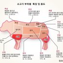 취향의공간