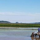 심정농장 이미지