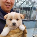 화상천로 이미지