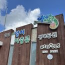 양서·파충류생태공원 아나콘다관 | 전남아이랑가볼만한곳)함평양서파충류생태공원 두번째방문후기