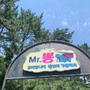 미스터크린원 네이버블로그