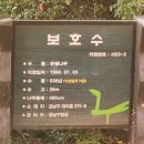 마을 보호수 | 대치동 구마을 보호수