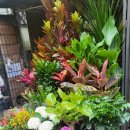 종로세브란스의원 이미지