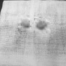 괴산동물병원 이미지