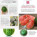 수디크 이미지