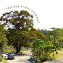 안태울캠핑장 이미지