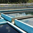 화명주유소 이미지