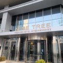 세븐일레븐중구초동점 | [명동 숙소] 나인트리 프리미어 호텔 명동2