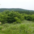 해비치목장 이미지