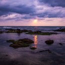 장해농장 이미지