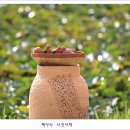 사랑의연못 이미지