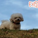 고매로43번길 이미지