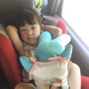 호명산 밸리 이미지