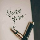 황제고물상 이미지