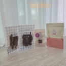 댕댕까까 이미지