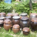 그린토피아 이미지