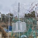 대지로2L 이미지