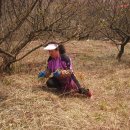 영농농장 이미지