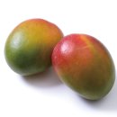 애플망고 이미지