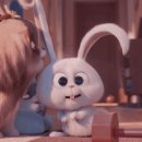 빅스몰짐 이미지