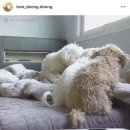 없음 이미지