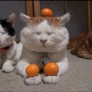 무념무상 이미지