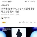 고고써치