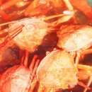 바른식탁 - 당진시 | 바른식탁