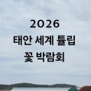 충남여행 1일차 (태안 세계 튤립 꽃 박람회 + 서산 간월암)(2026.4.27) 이미지