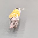 멍쉬멜로 이미지